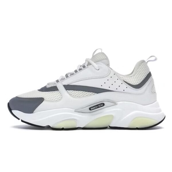 Dior B22 White Grey