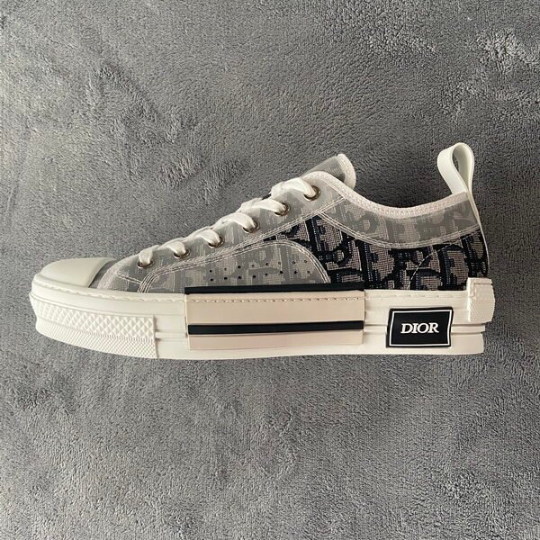 Dior B23 Oblique Linen Black