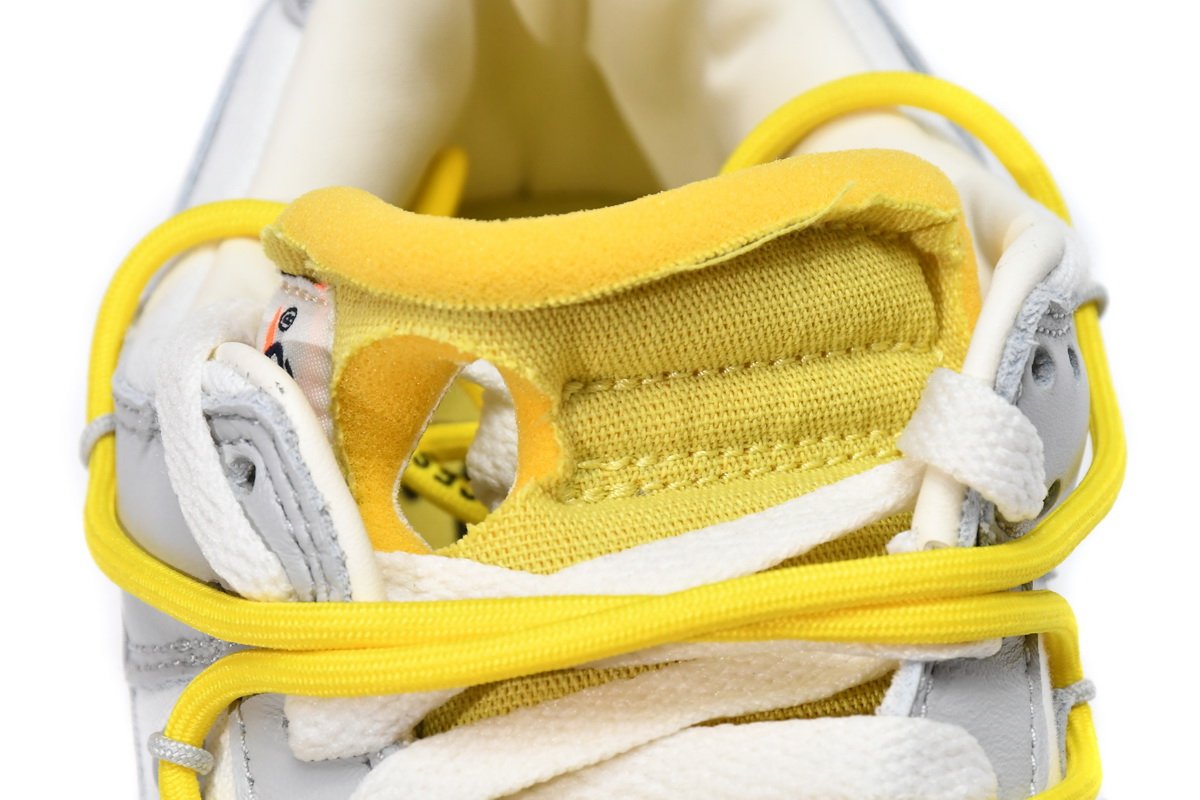 OFF WHITE x Nike Dunk SB Low The 50 NO.29 DM1602-103 - Image 4